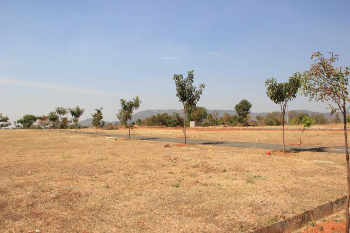 Shreeshaa Hill View
