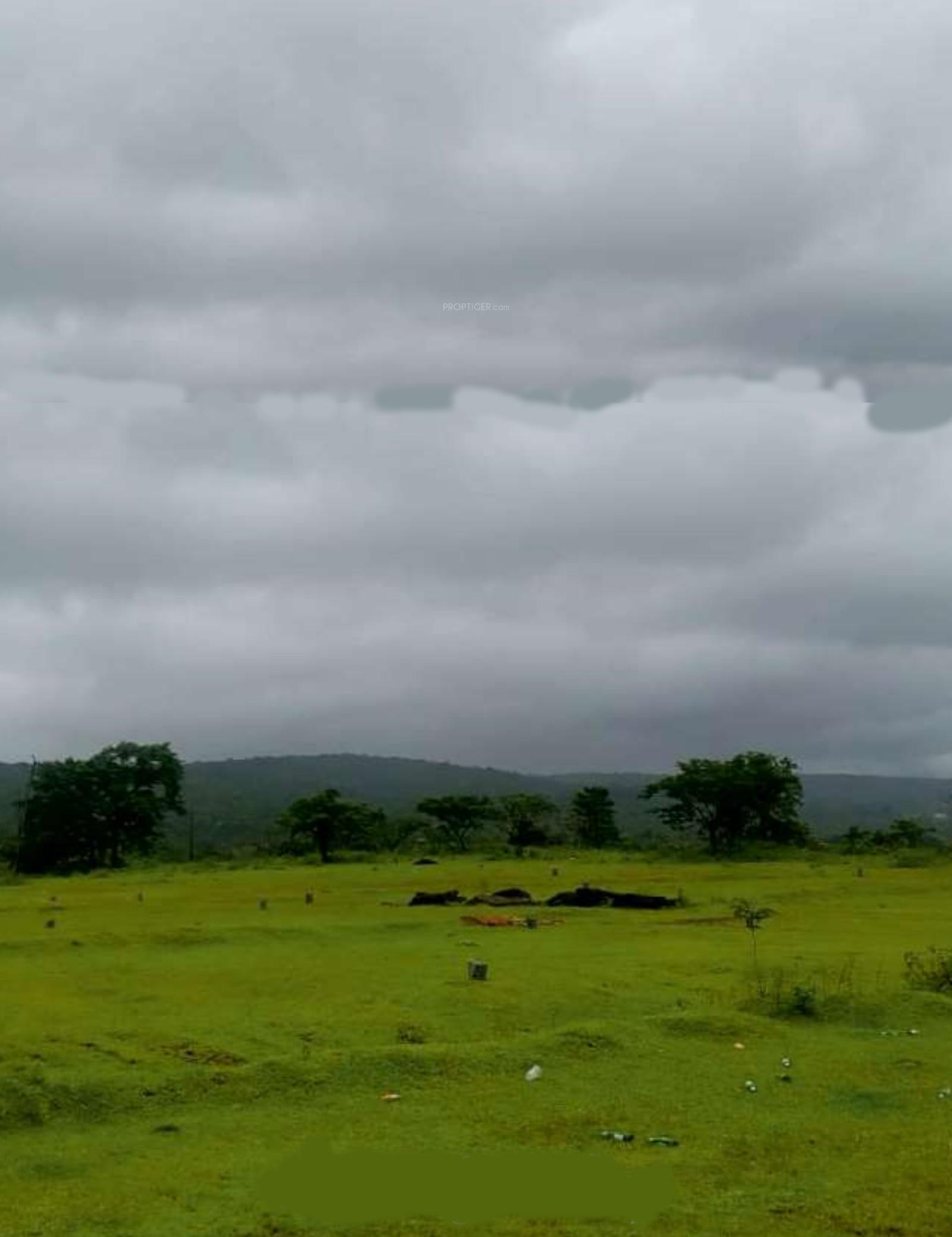 Shantabai Greenscape