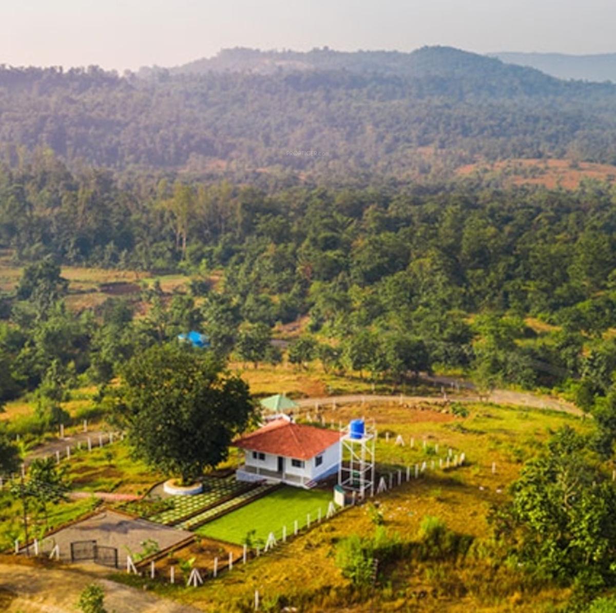 The Ranch Estate Farms