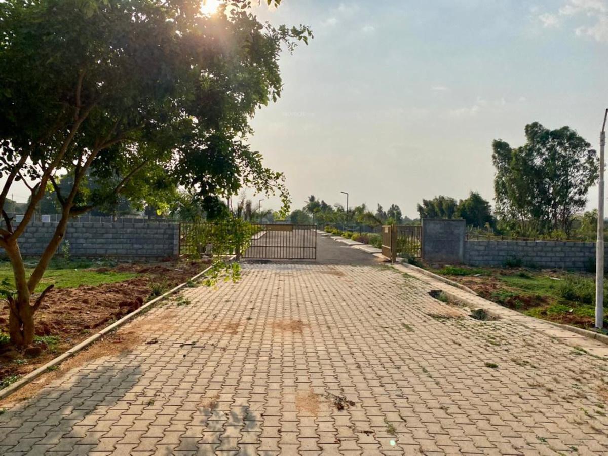 Avani Lakeview