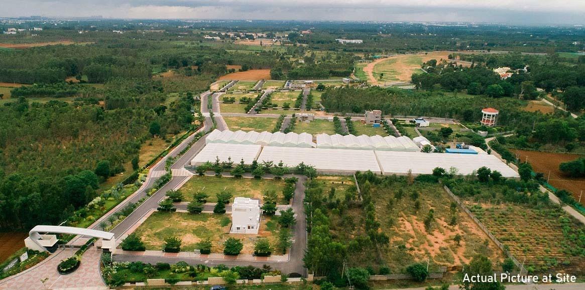  the-sanctuary-phase-iii Elevation