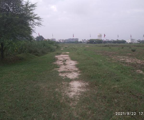 Plot