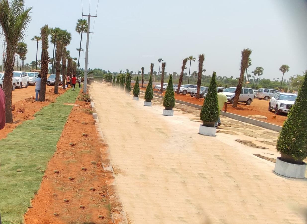 Haritha Vanam