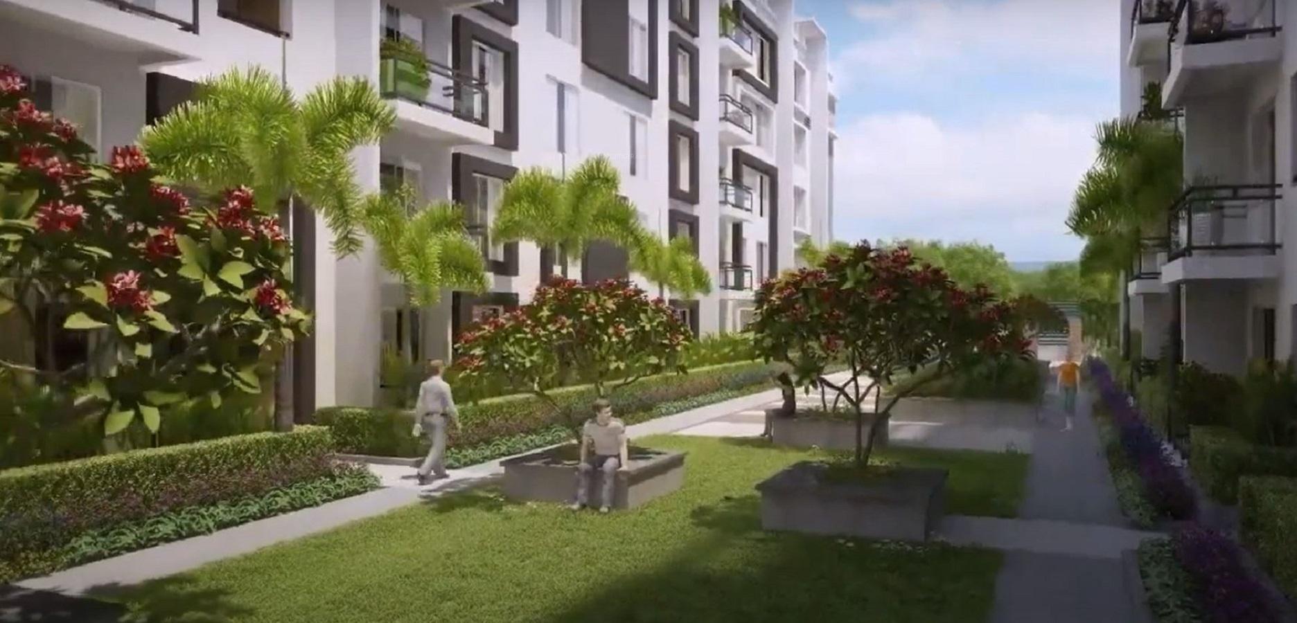  royal-crest Landscape Garden and Tree Planting