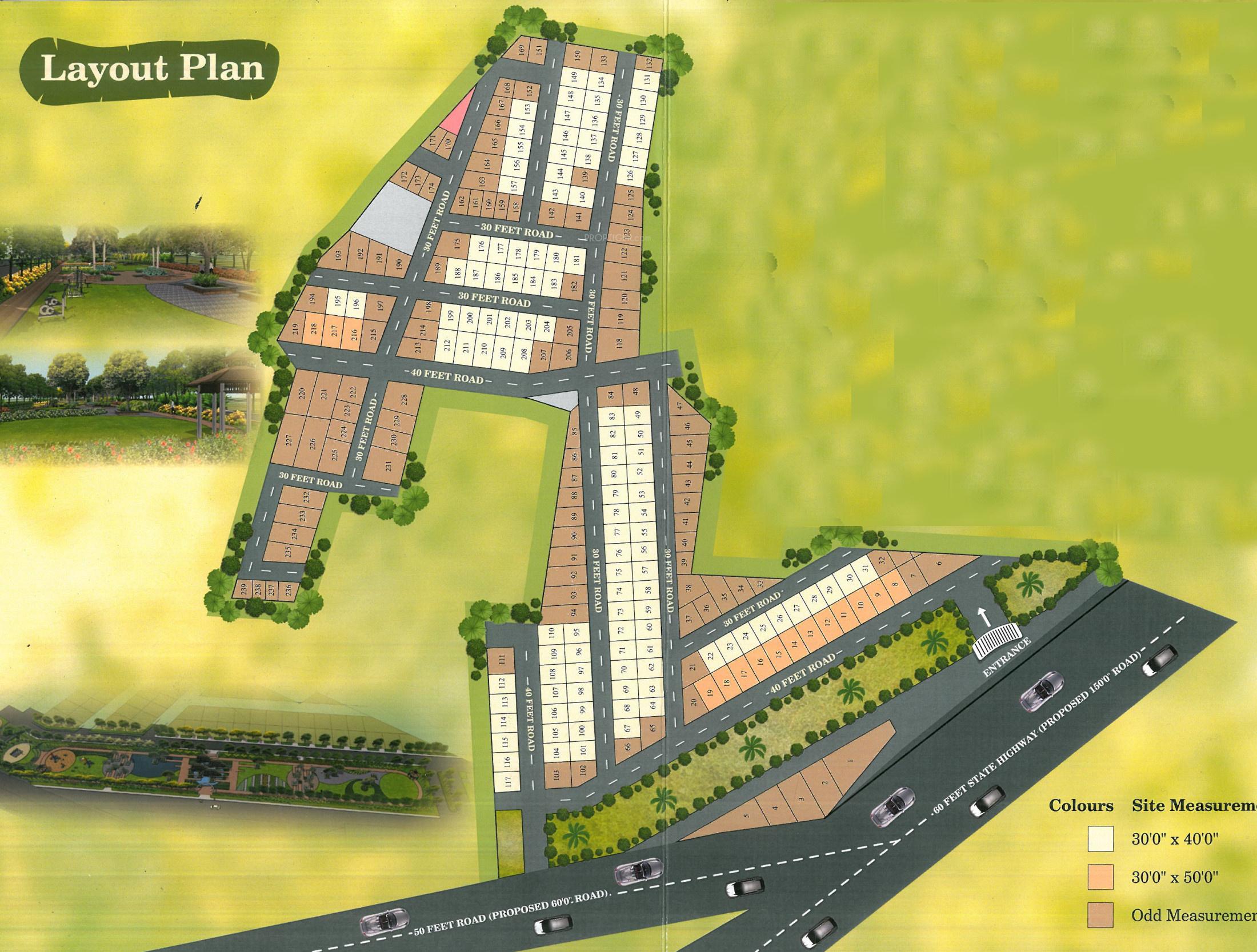  paradise Layout Plan