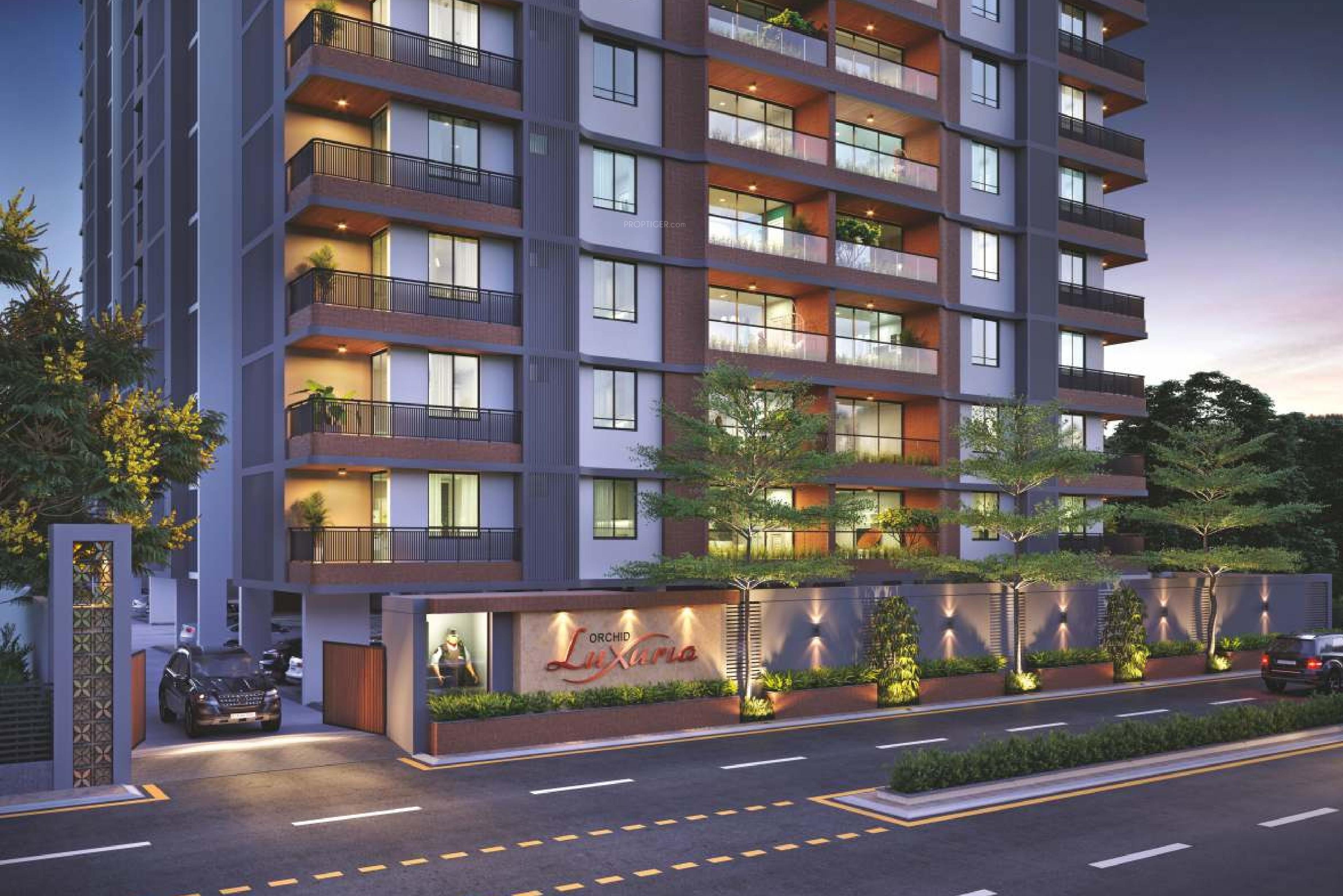  luxuria Elevation