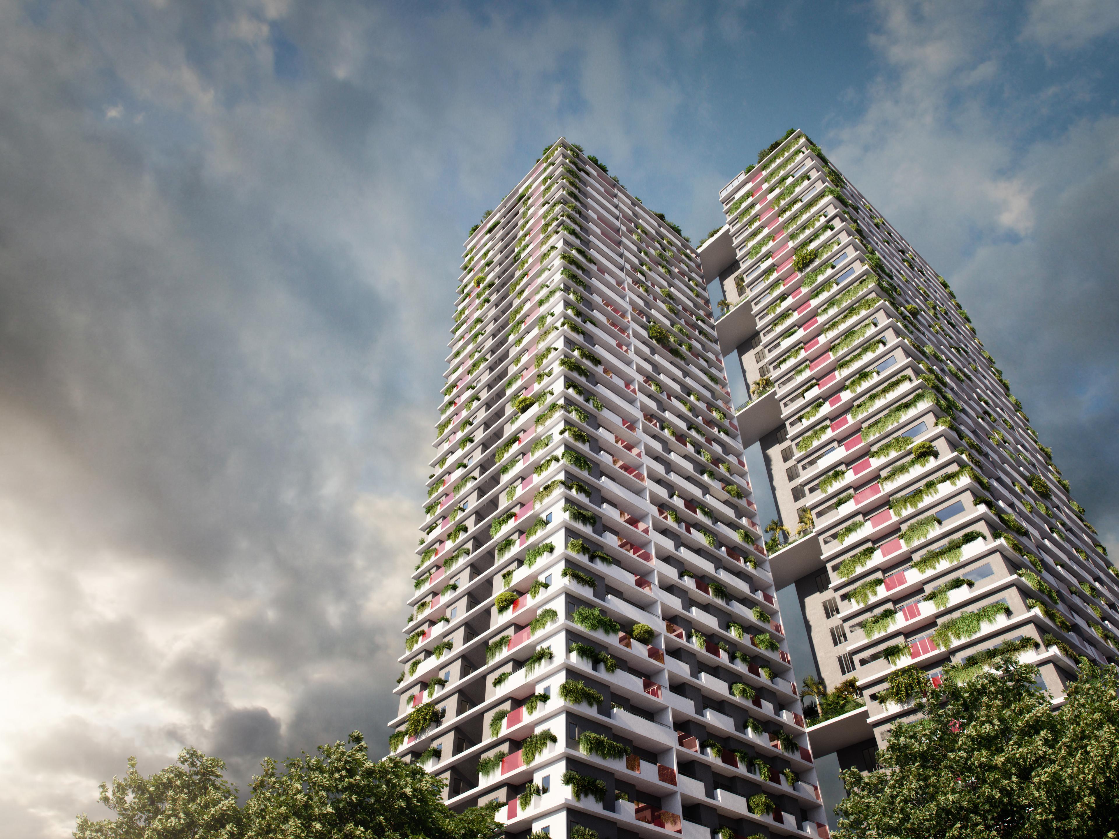  vida-project Elevation