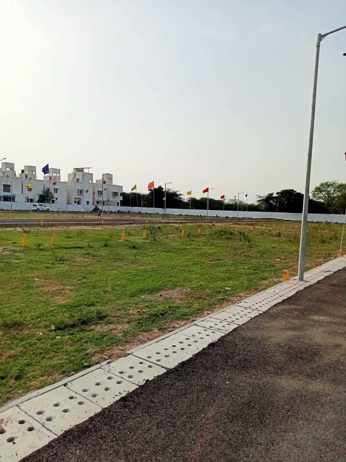 Meadows Phase II