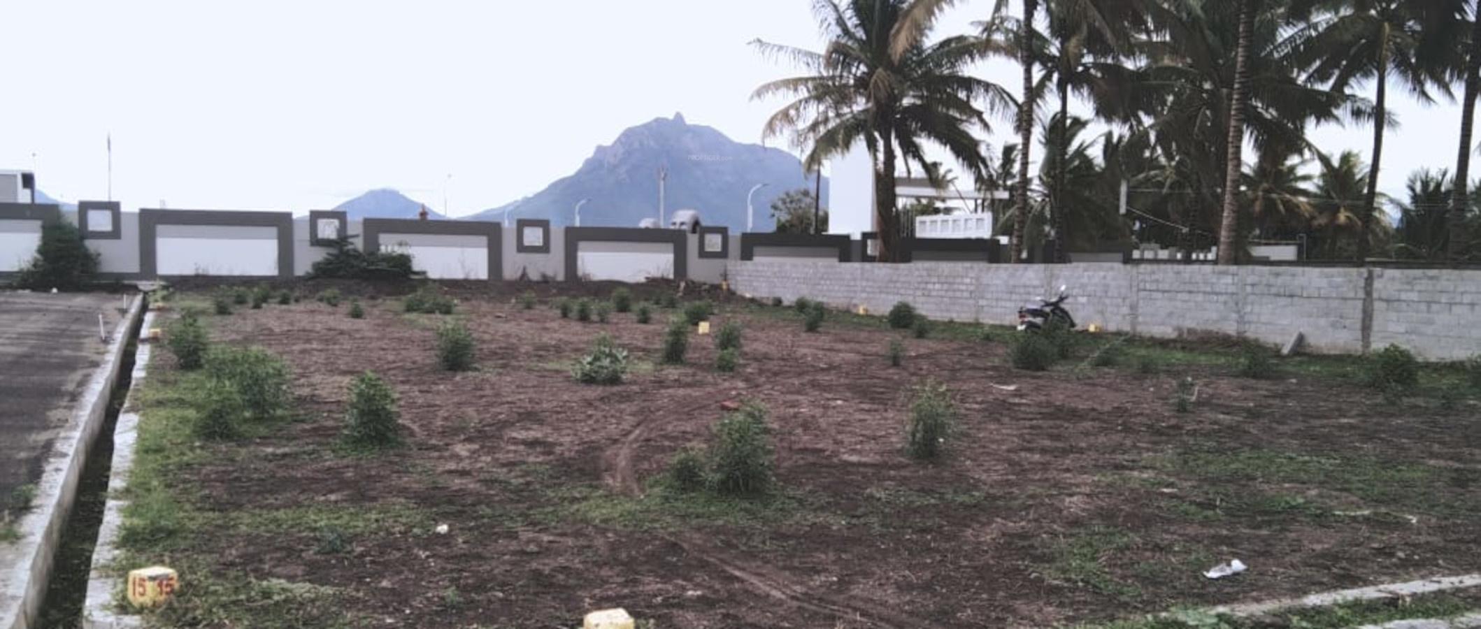  sastha-nagar Plot