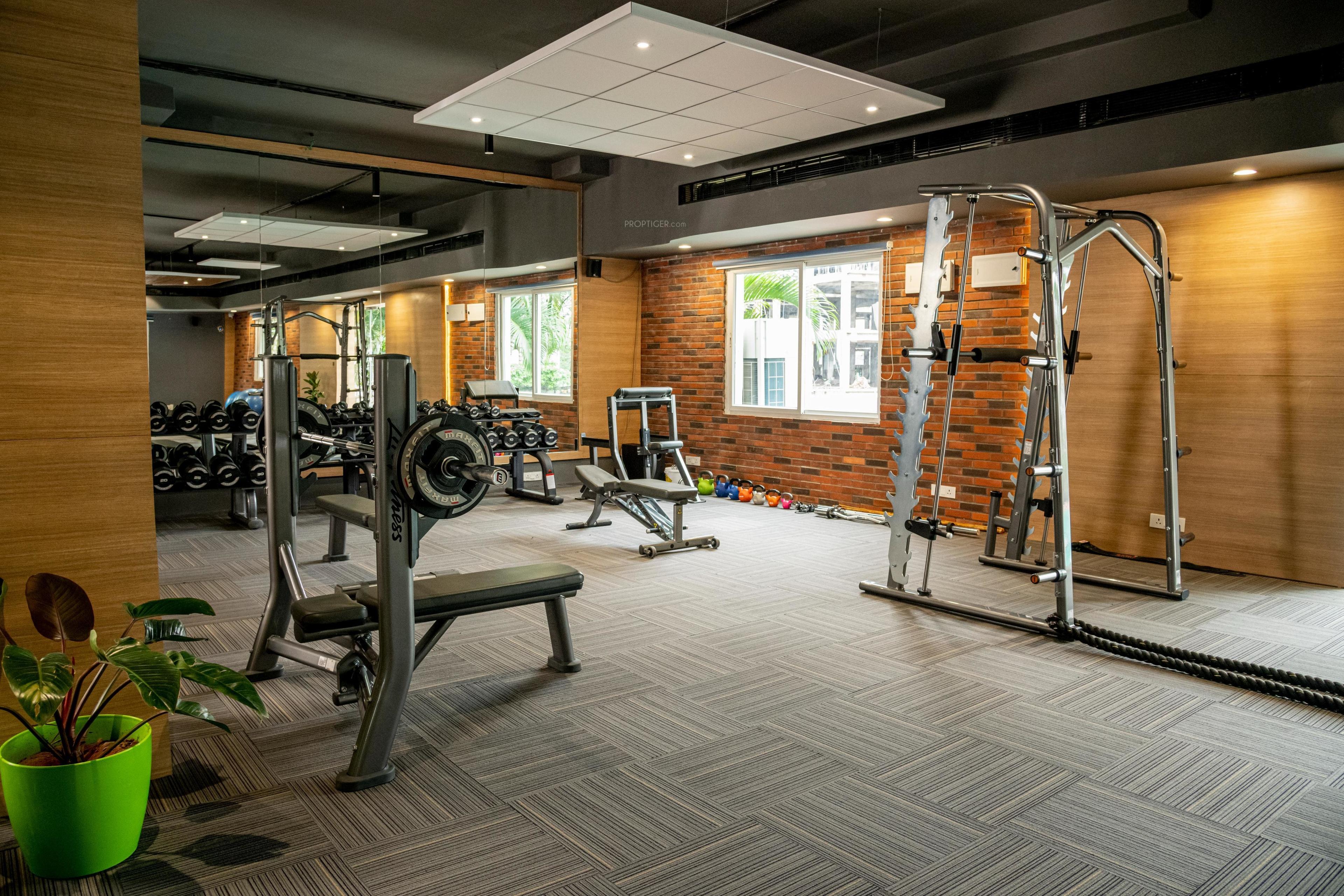  nile-valley-project-block-2b Gymnasium