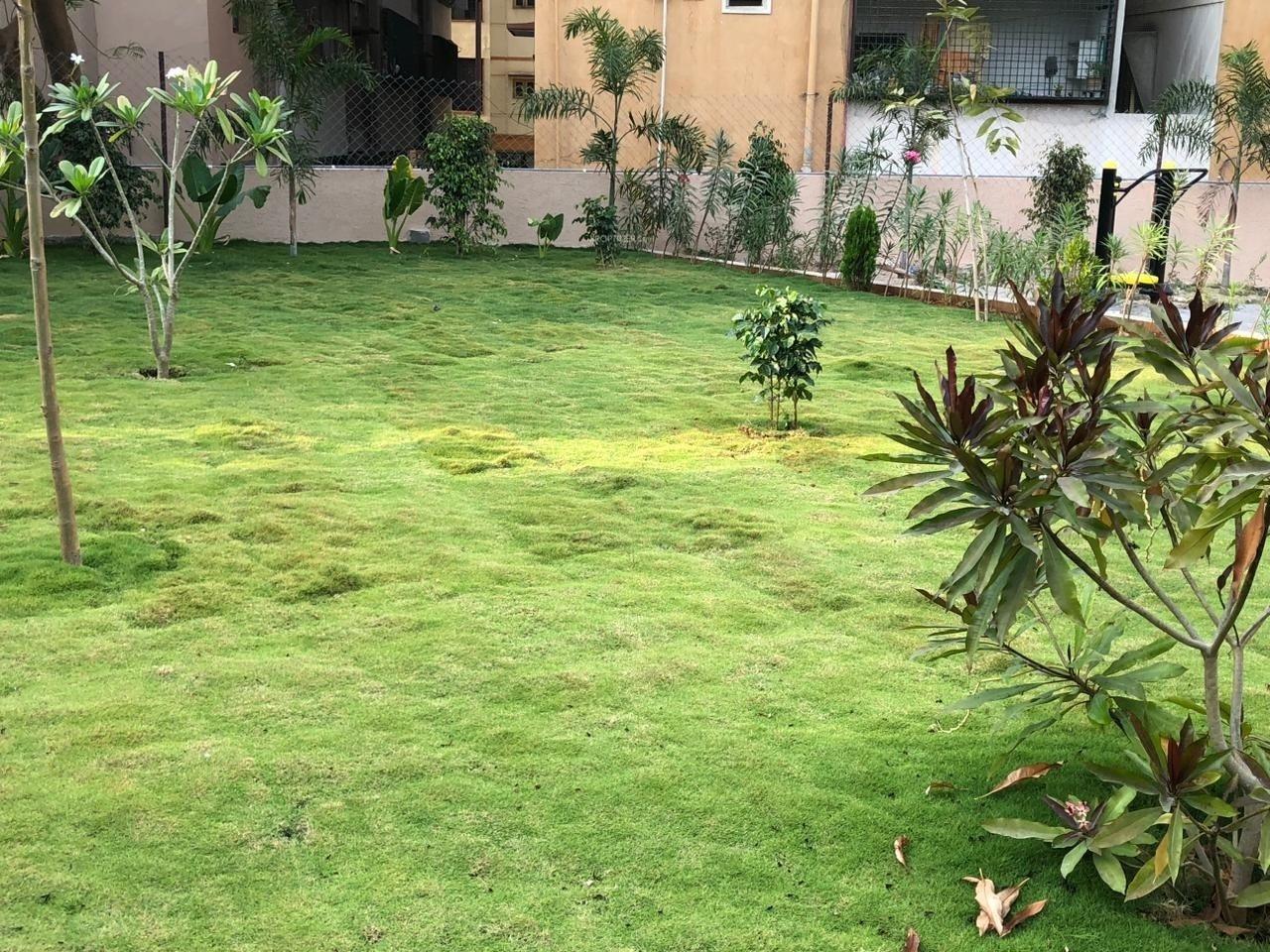 Landscape Garden and Tree Planting