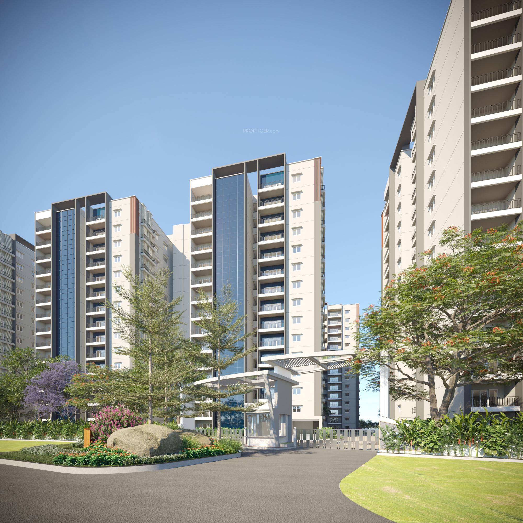 cornerstone Elevation