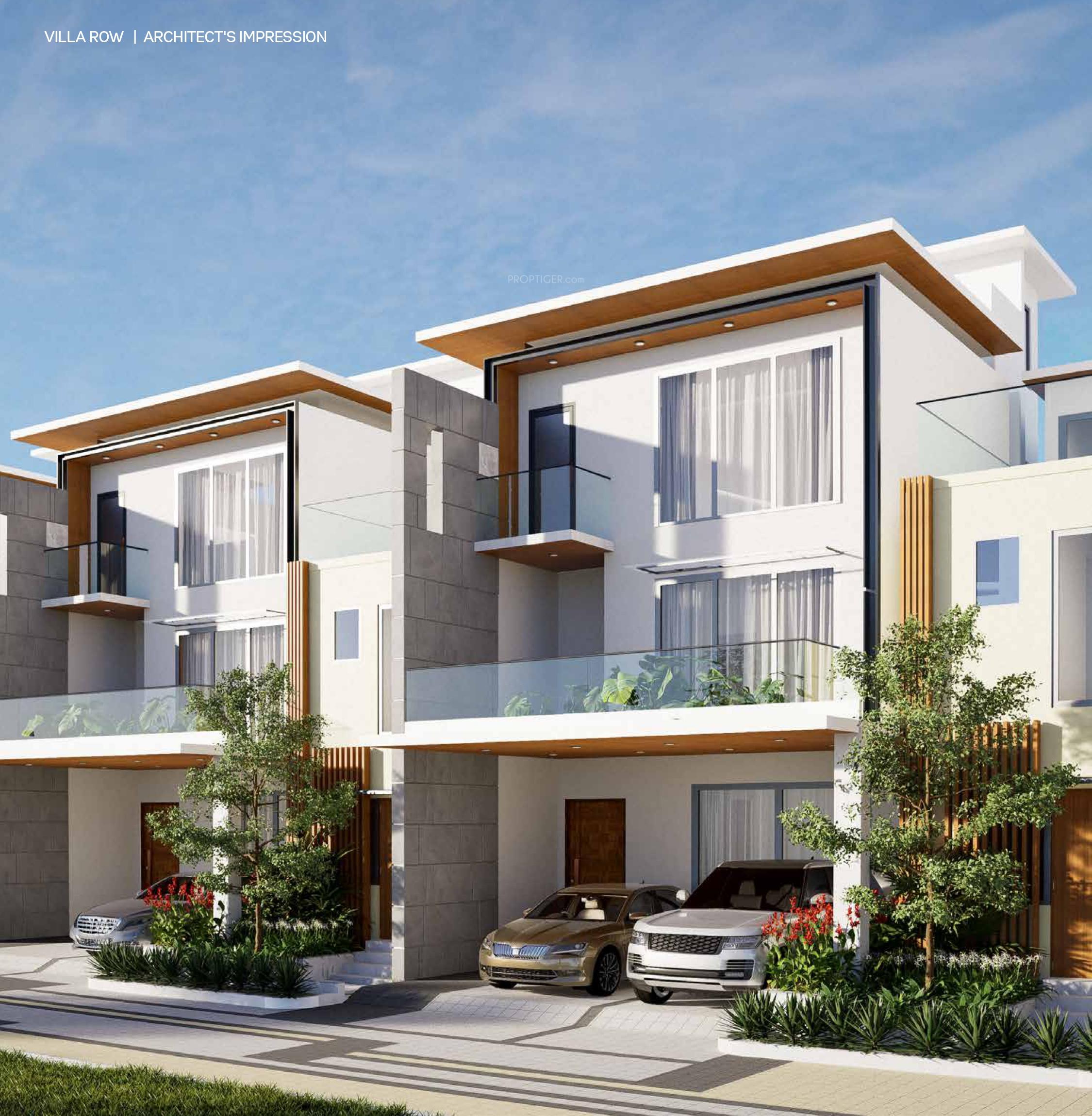  raj-viviente Elevation