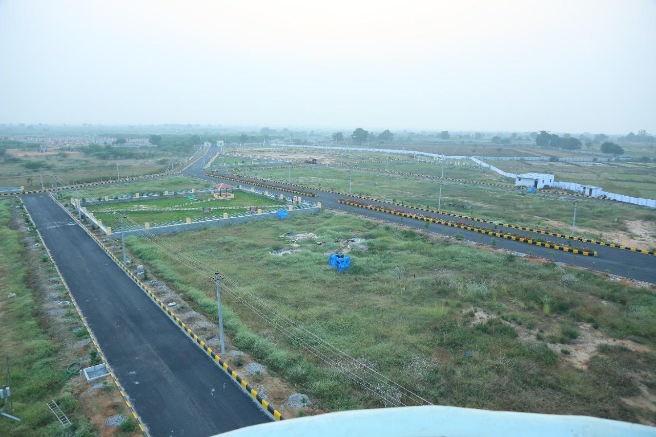 Avani