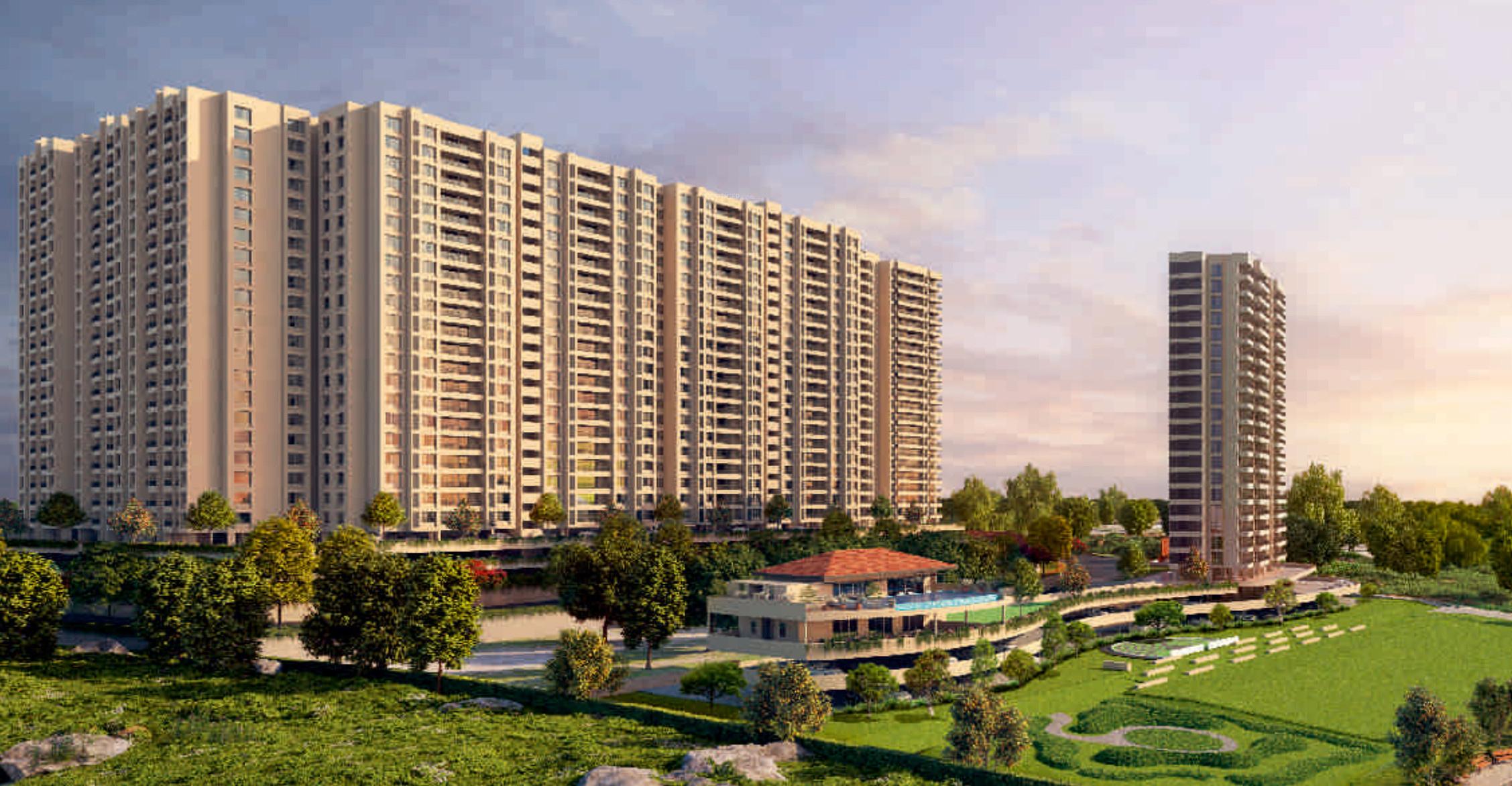 Treeland Phase 5