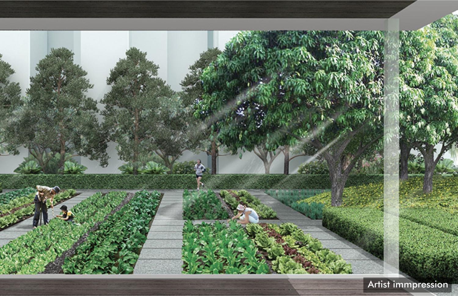  hinjewadi-phase-1 Organic Farming