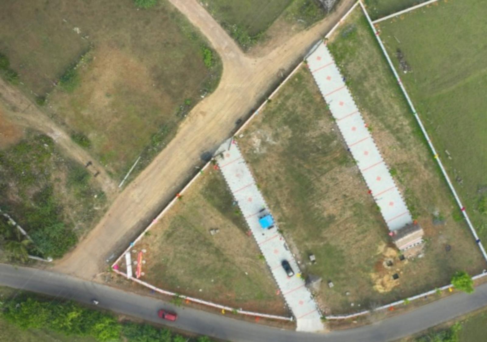  sun-flower-garden Plot