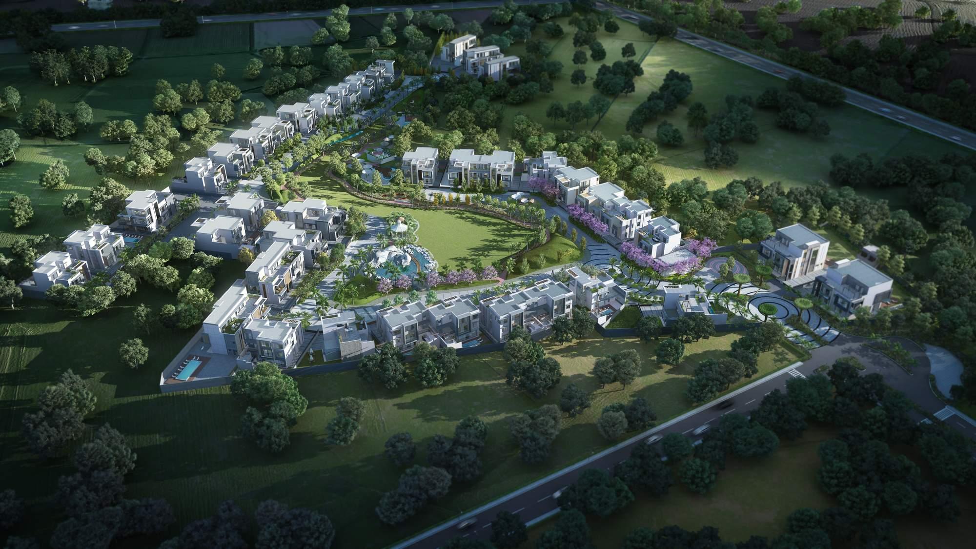 The Golden Estate