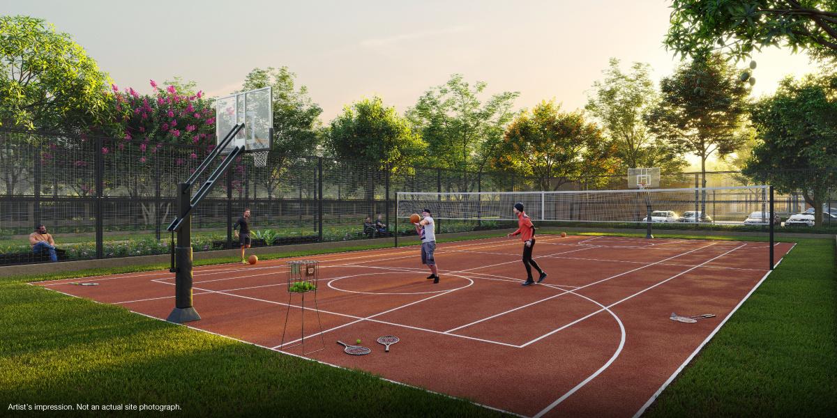 orchard-estate Basketball Court