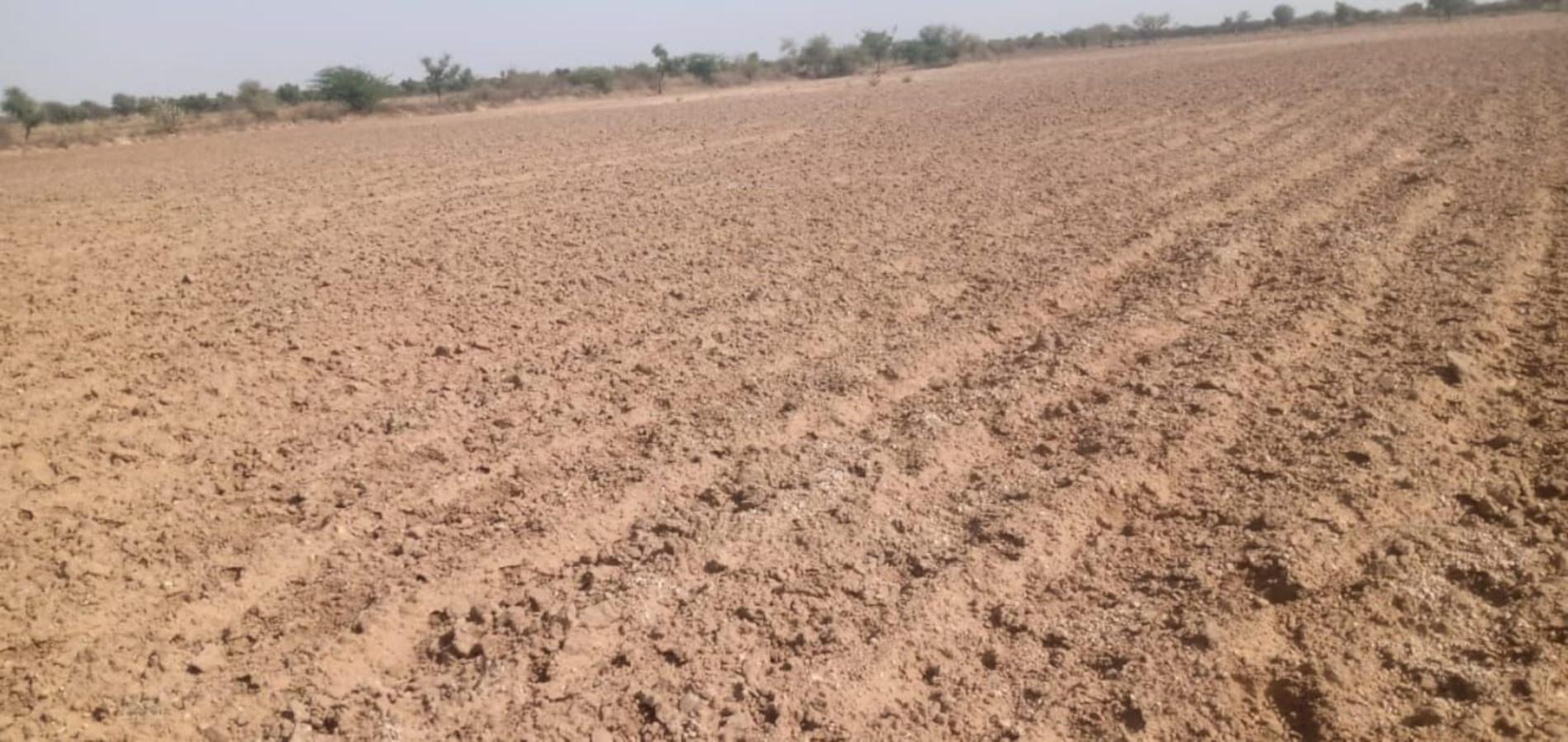 Agriculture Land In Ajmer