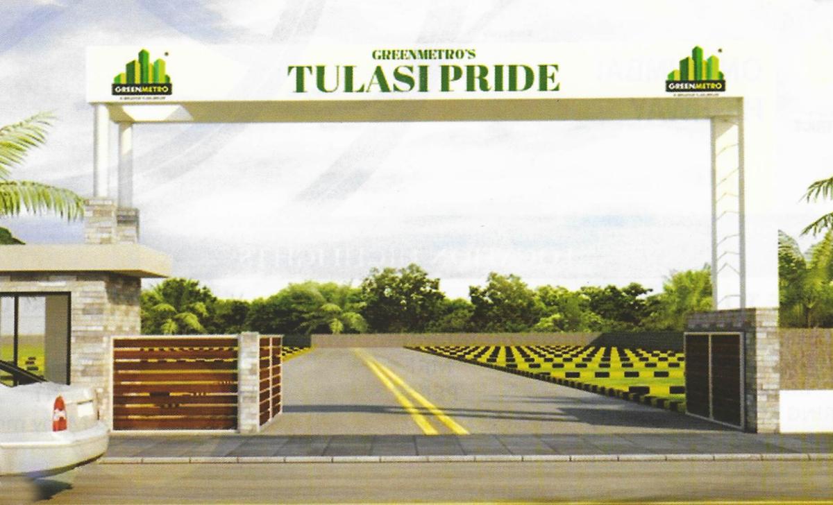 Tulasi Pride