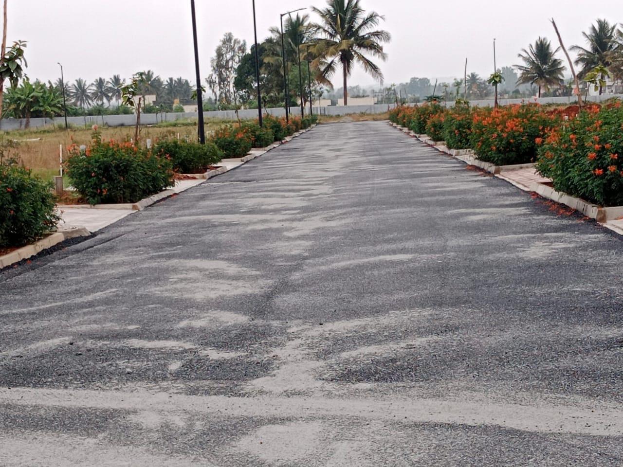  blue-mango-orchard Internal Roads & Footpaths