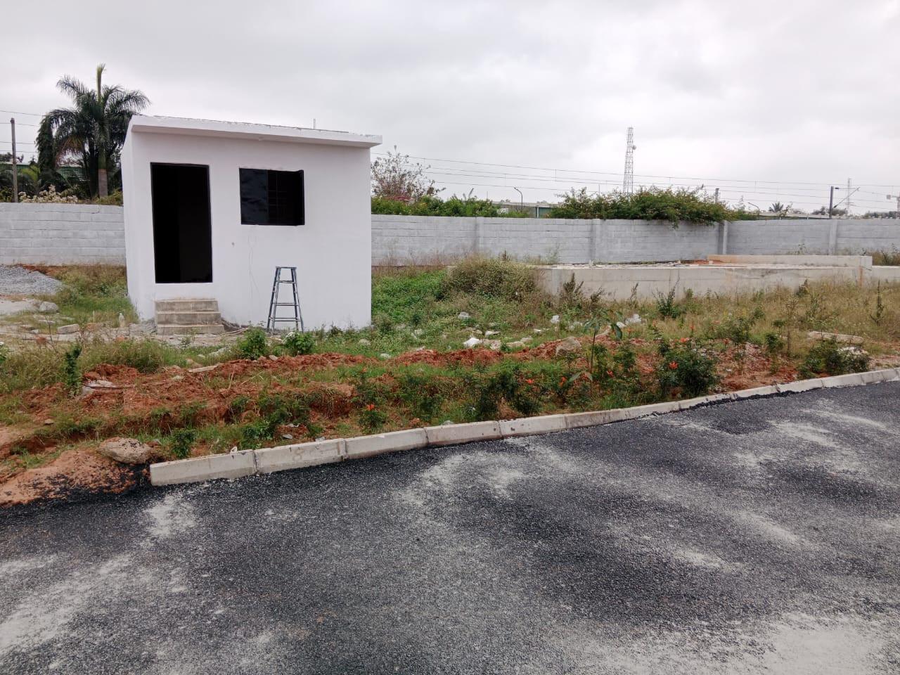  blue-mango-orchard Others