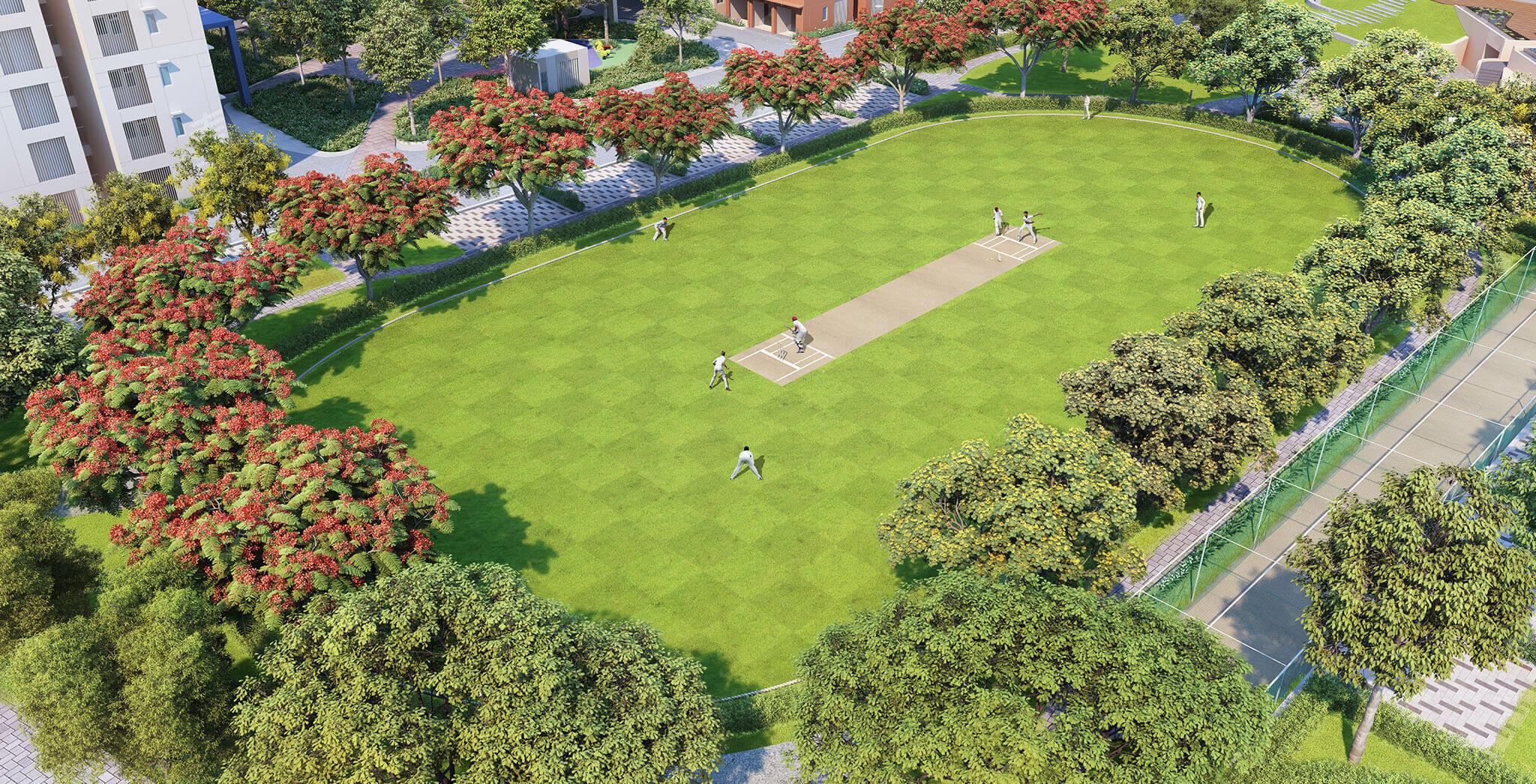  aurum-at-brigade-el-dorado Cricket Pitch