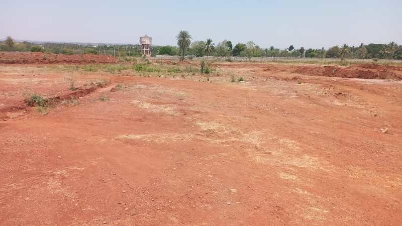  kns-athena-phase-ii Elevation