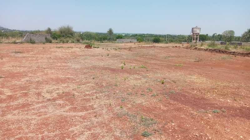  kns-athena-phase-ii Elevation