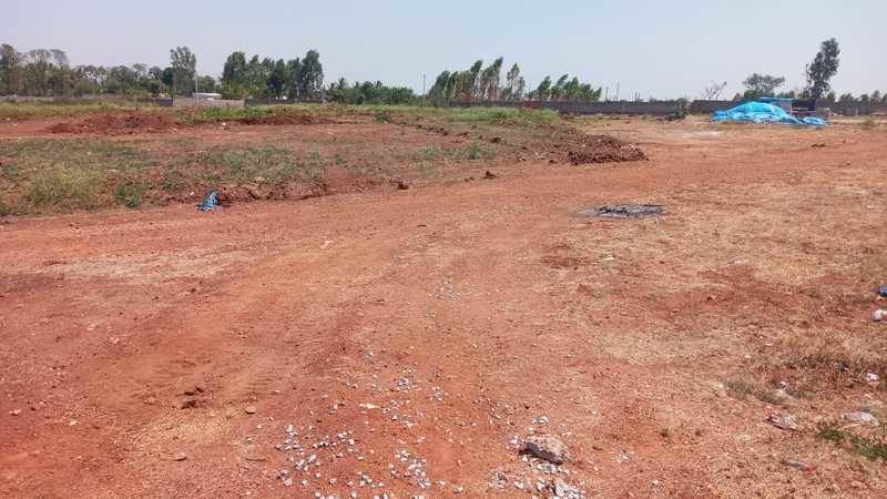  kns-athena-phase-ii Elevation