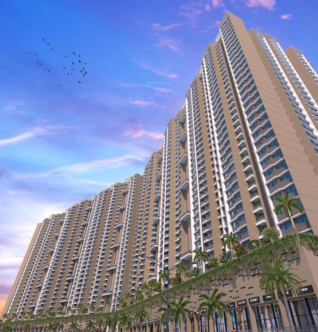  dolce-vita Elevation