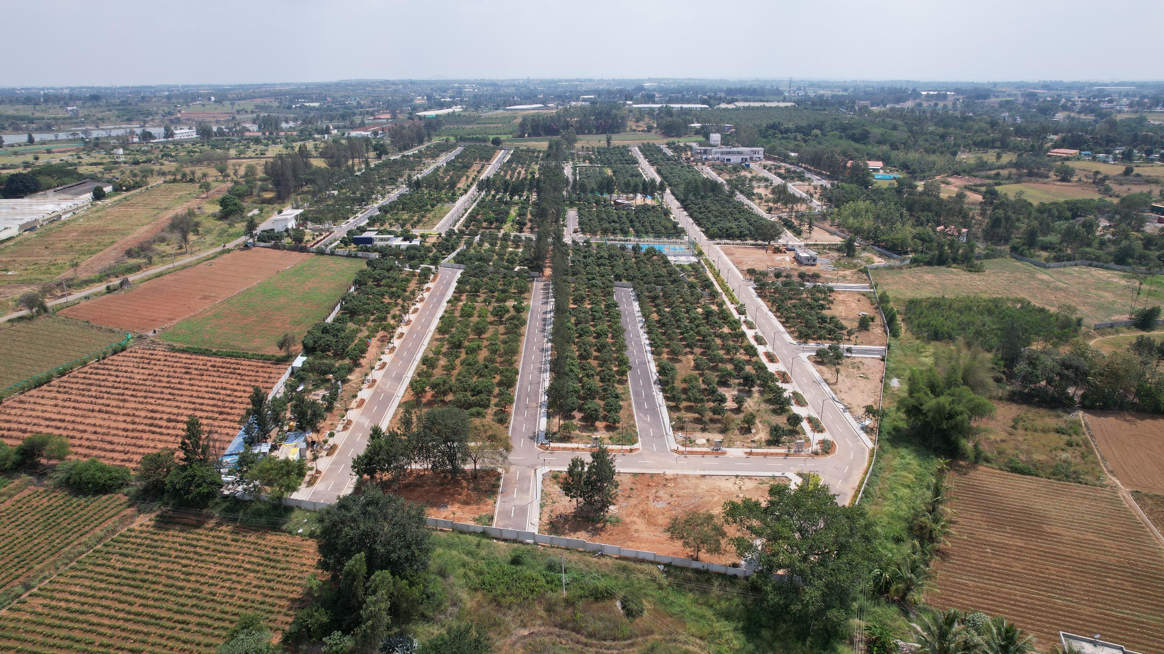  emerald-the-estate Elevation