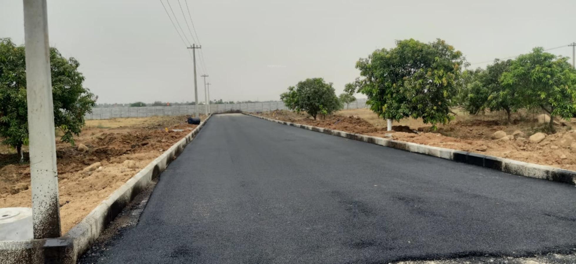  meadows Internal Roads