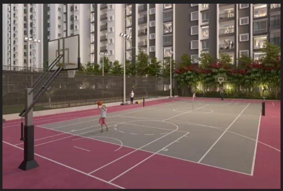 Basketball Court