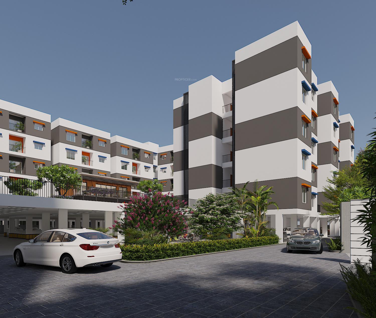  newry-adora Elevation