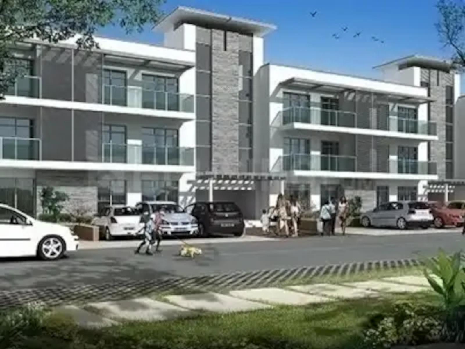  palm-garden Elevation