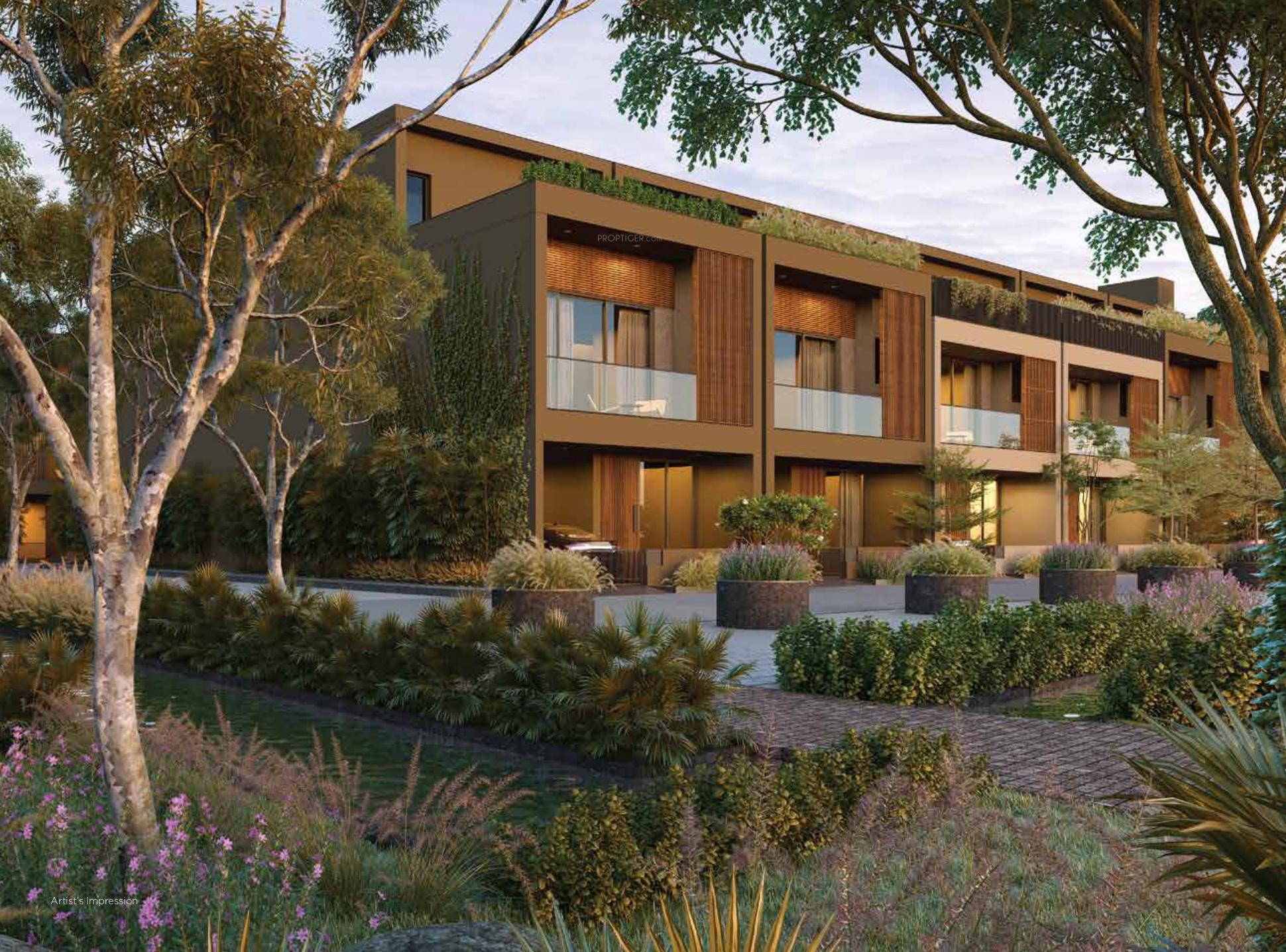  forest-trails Elevation