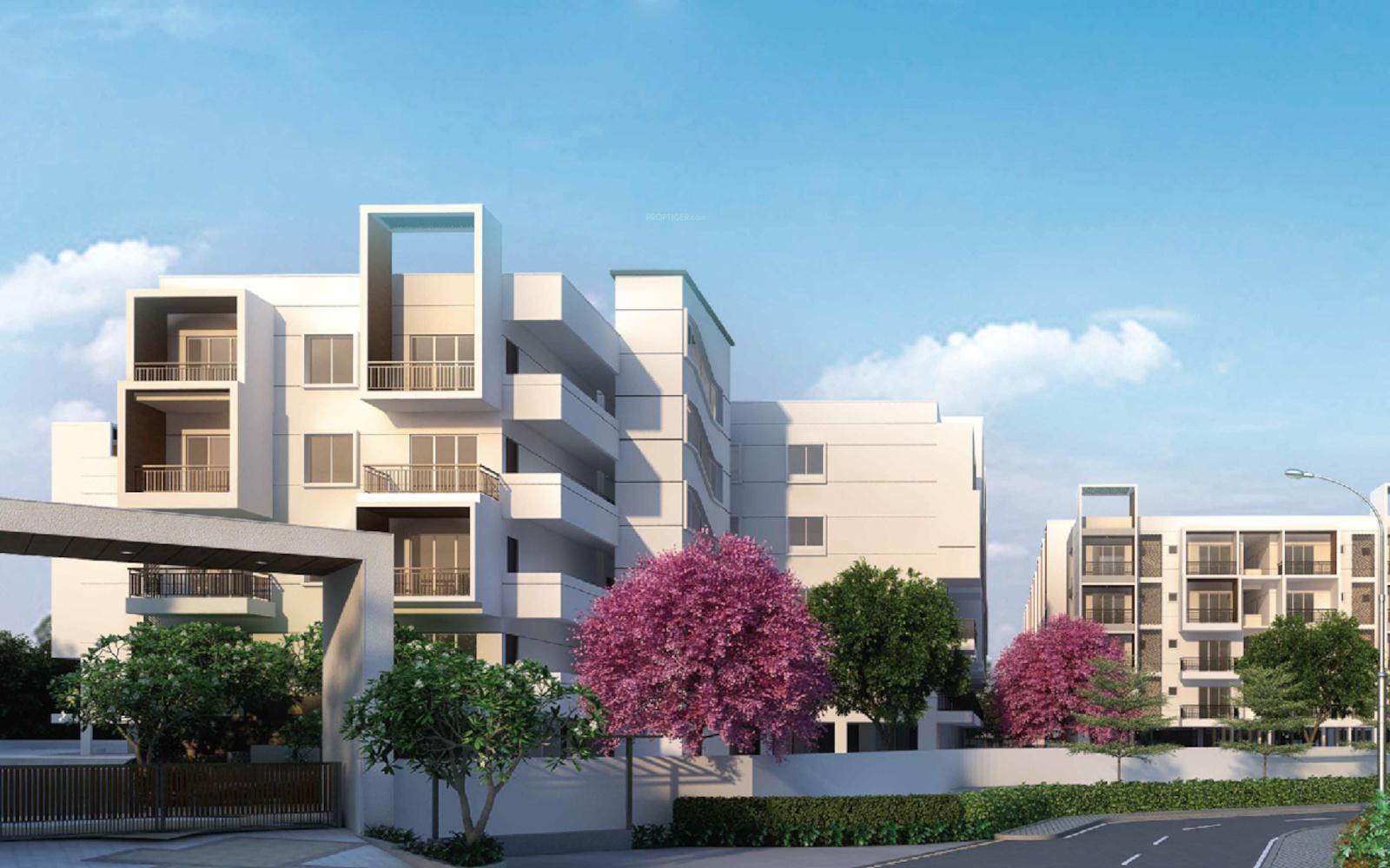  silicon-shine-phase-2 Elevation