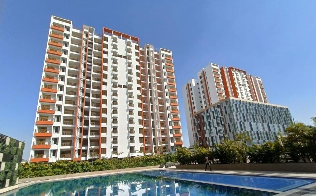 Rhythm County Phase IV