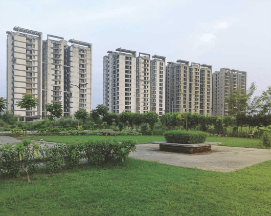  paalm-paradise Elevation