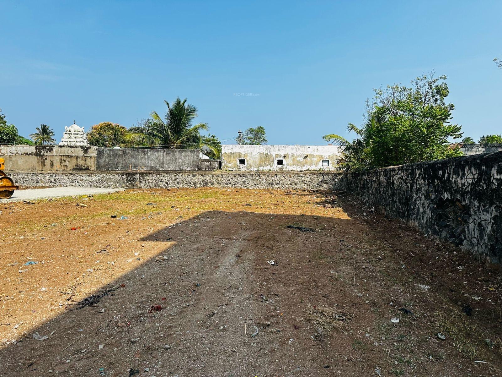 Maks Silo Vika Girish