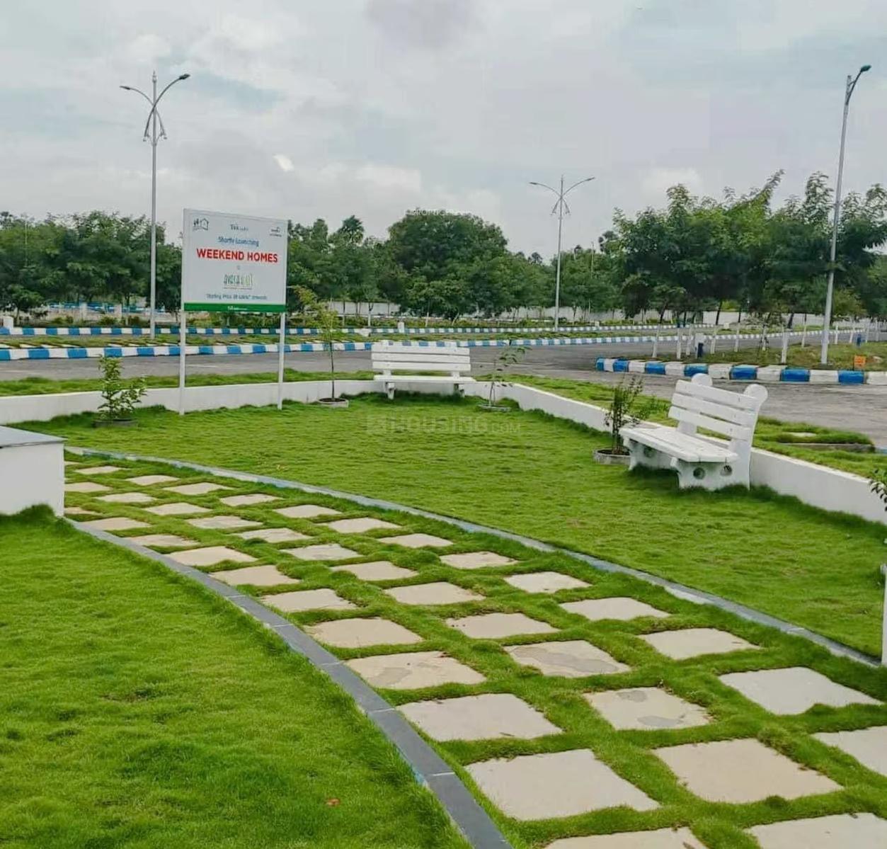  avasa-pride Plot