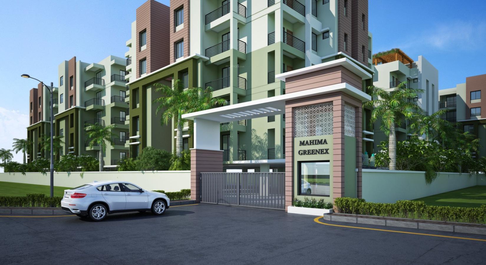  greenex Elevation