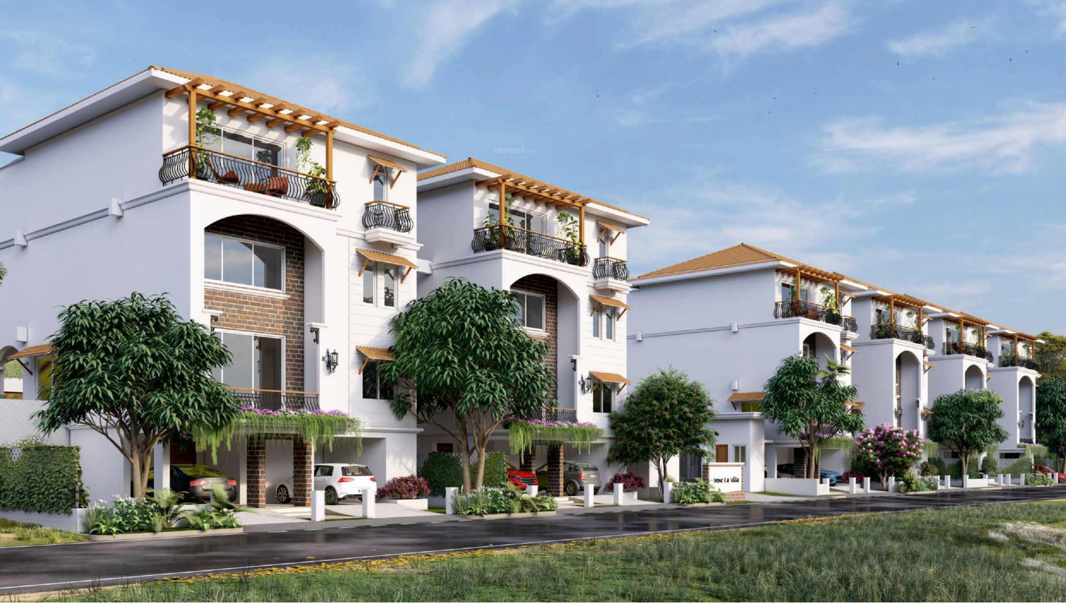  irene-la-villa Elevation