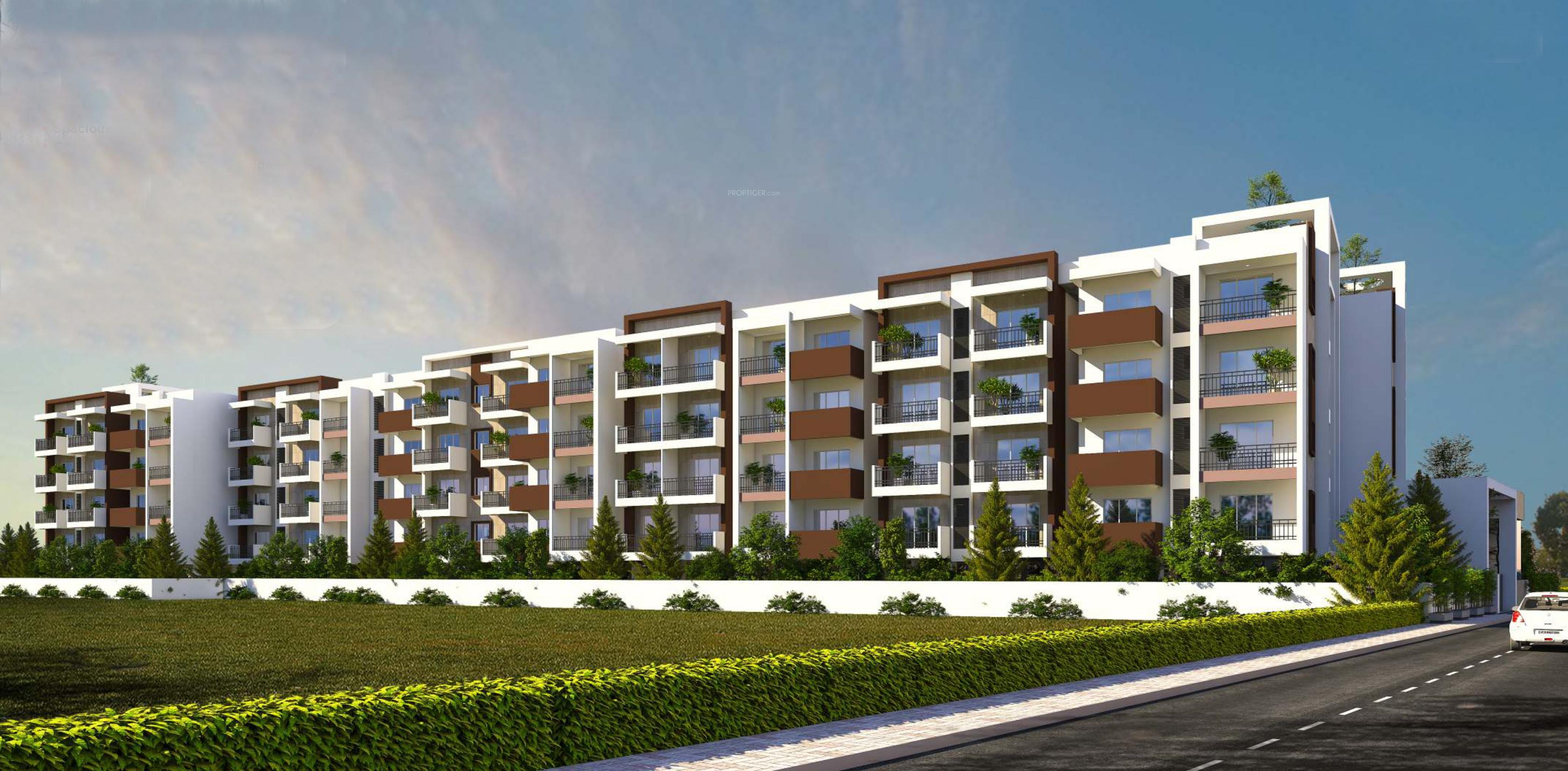  paradise Elevation