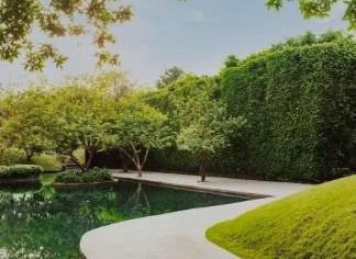  azur Landscape Garden and Tree Planting