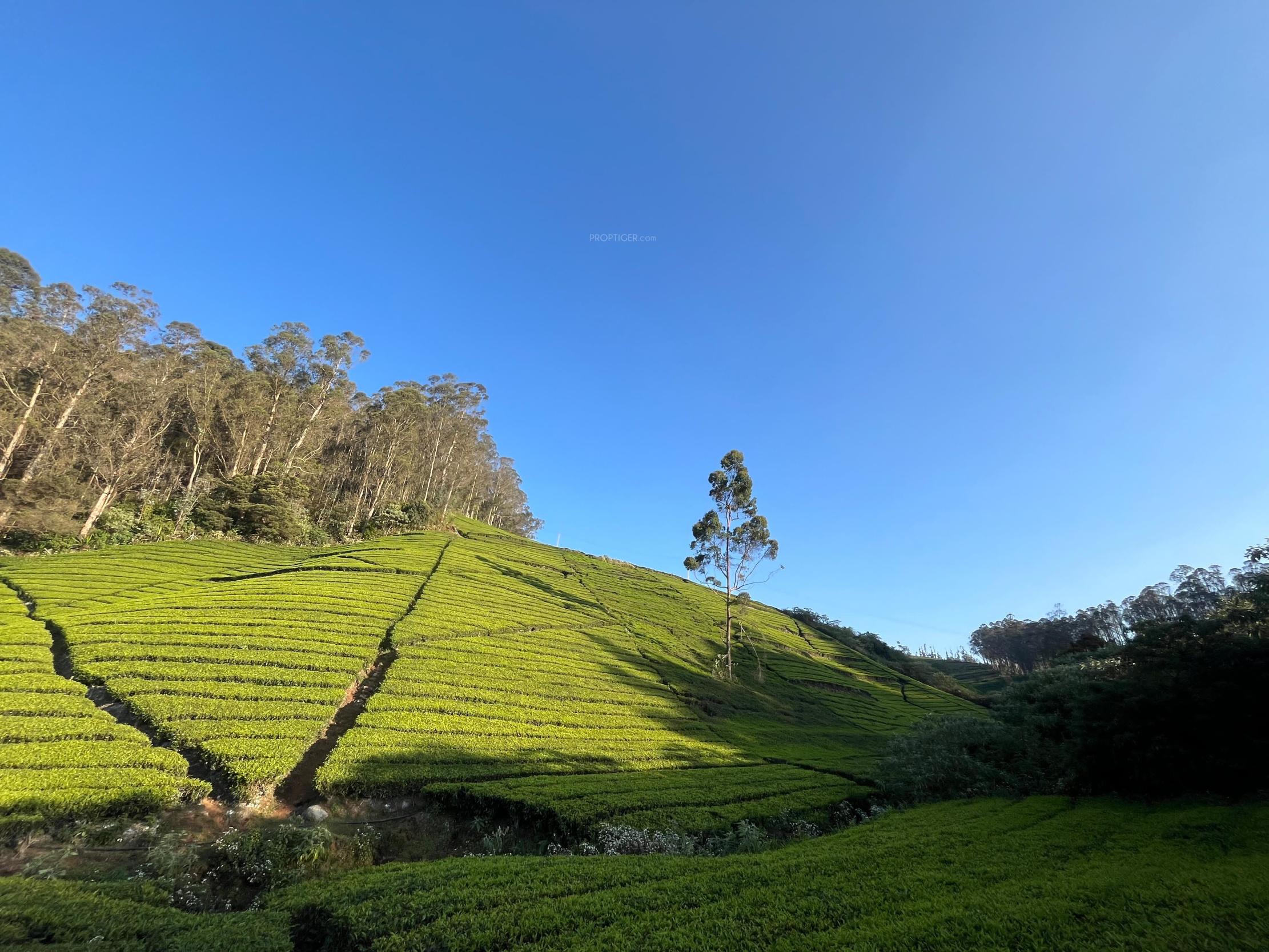  farm-estates Elevation