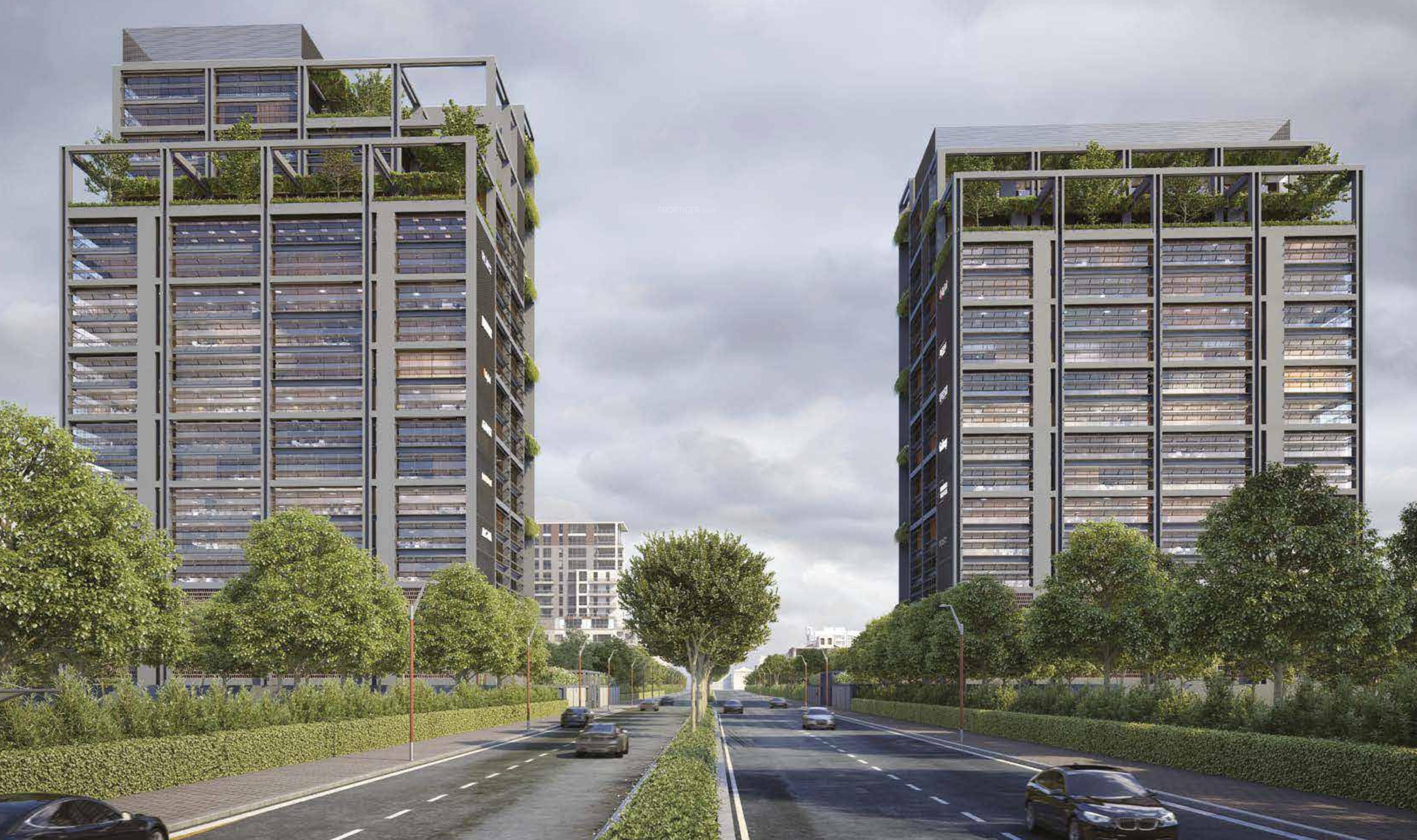  terraza-south Elevation