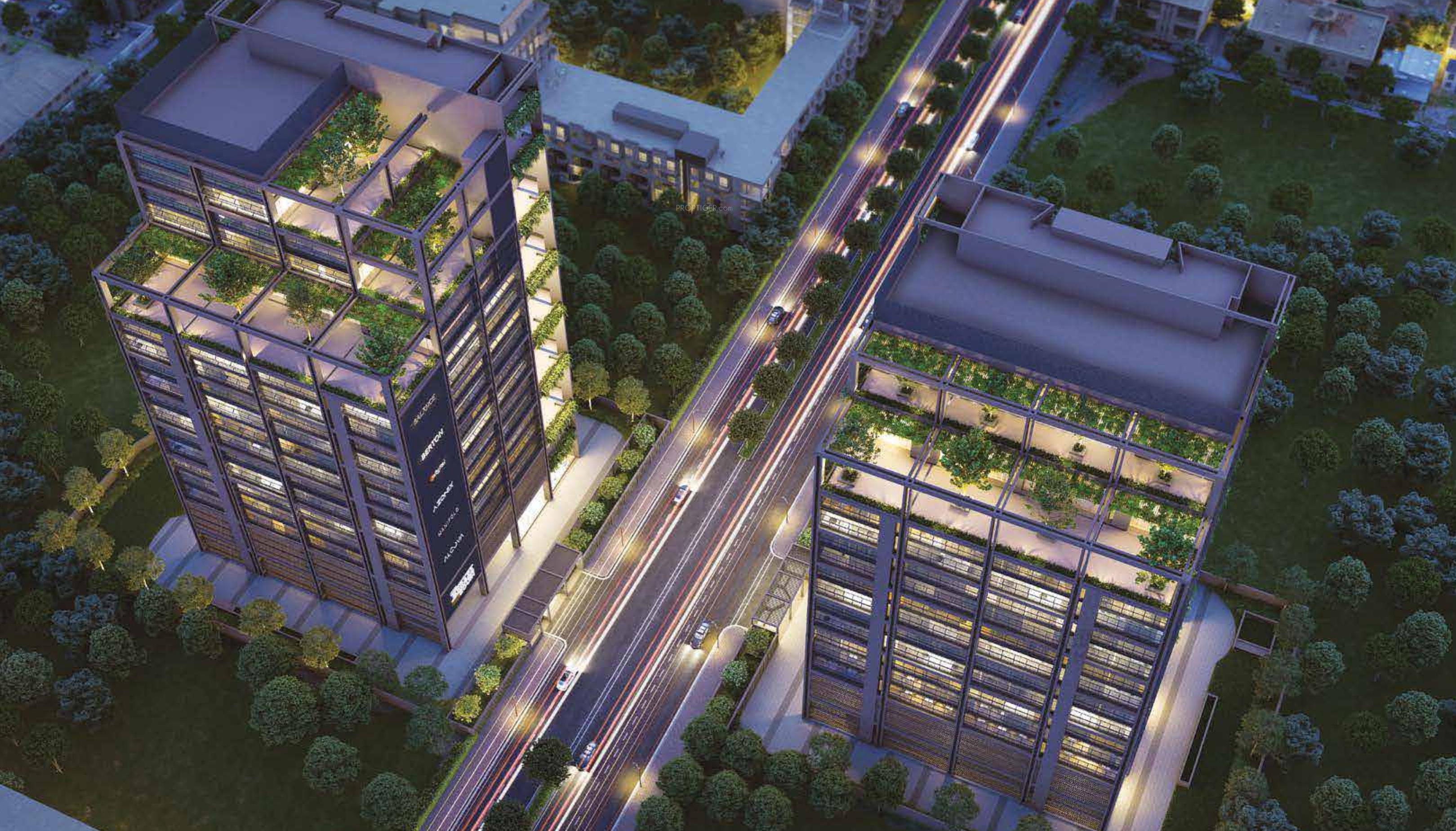  terraza-south Elevation